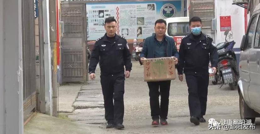 松雀鹰受伤,松雀鹰真实图文