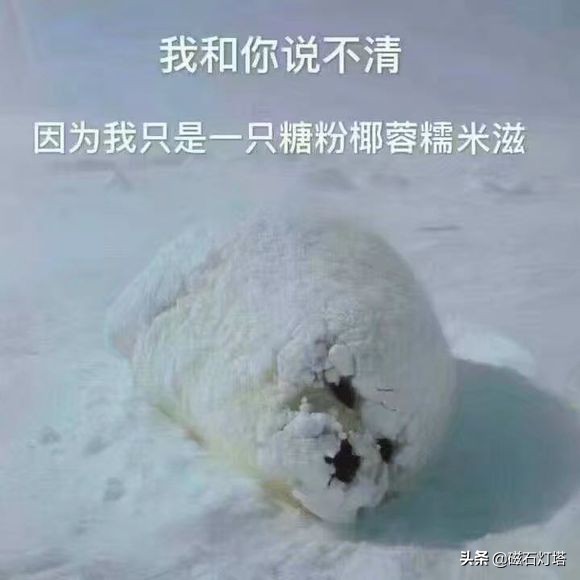 剑侠情缘3剑网三,剑侠情缘剑网3