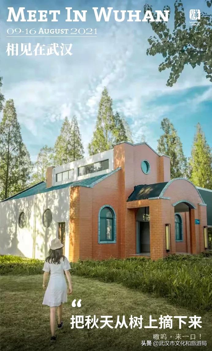 板栗葡萄采摘园,板栗桠葡萄采摘园