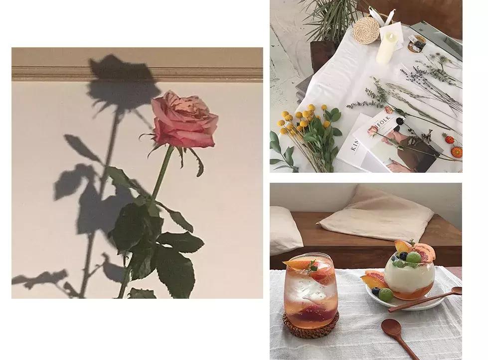 私享会丨520礼物清单！我只能帮你到这了！