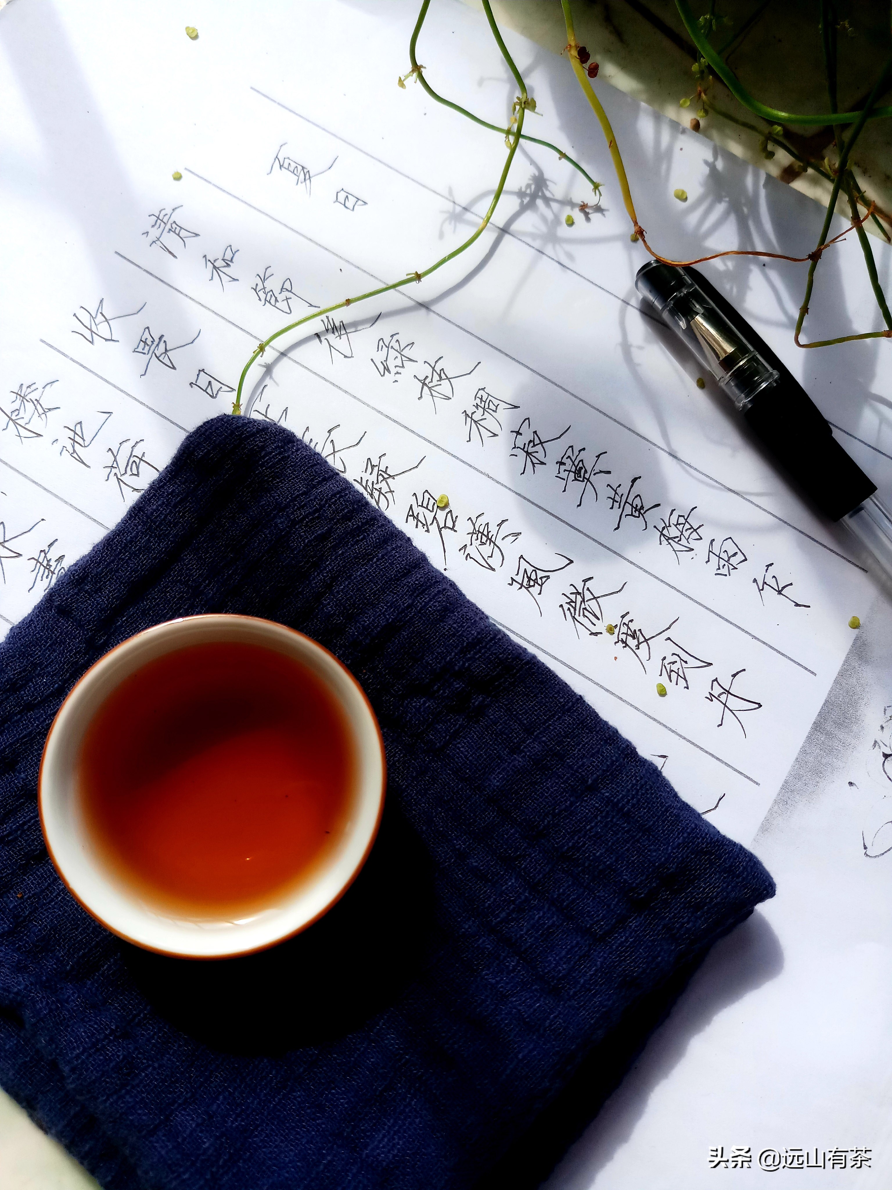 【三掌柜说茶】一款好熟茶喝起来是什么感觉？