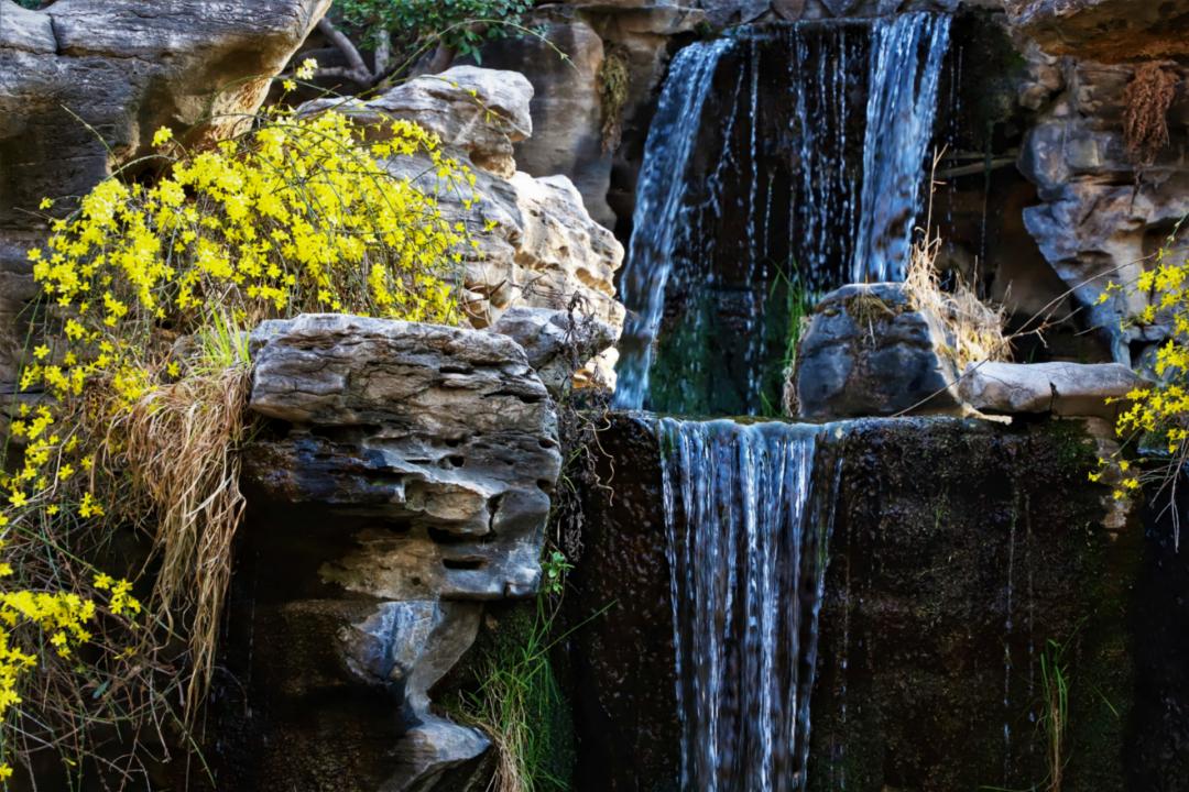 春天里最美的花儿，语文课本上的天下第一……一定要带孩子来