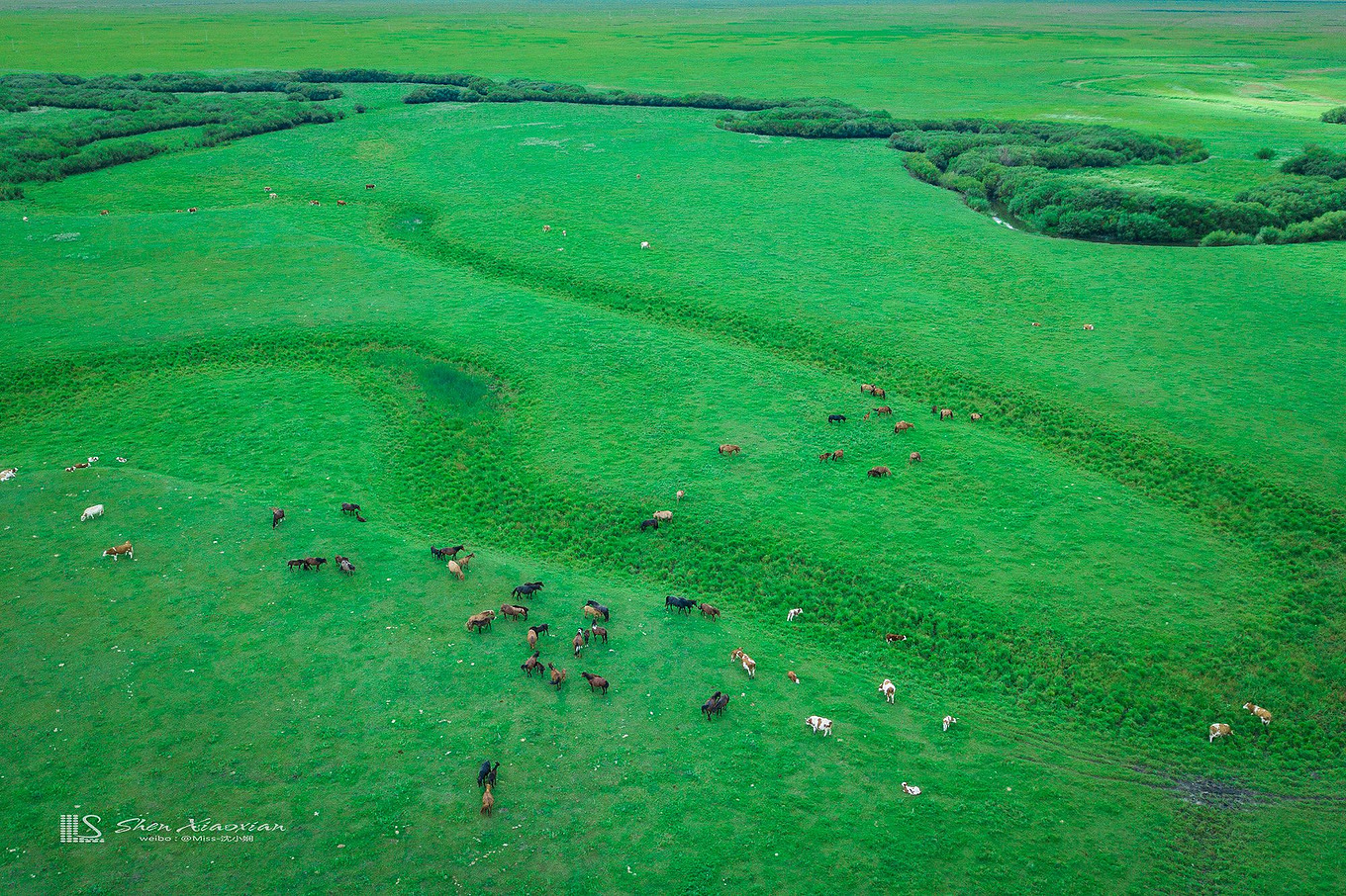 八月的锡林郭勒,8月的锡林郭勒
