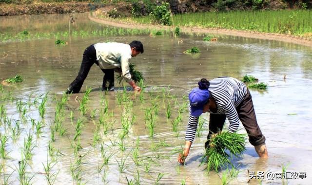 大南汇，永远310225，119，所有回不去的日子都有道理