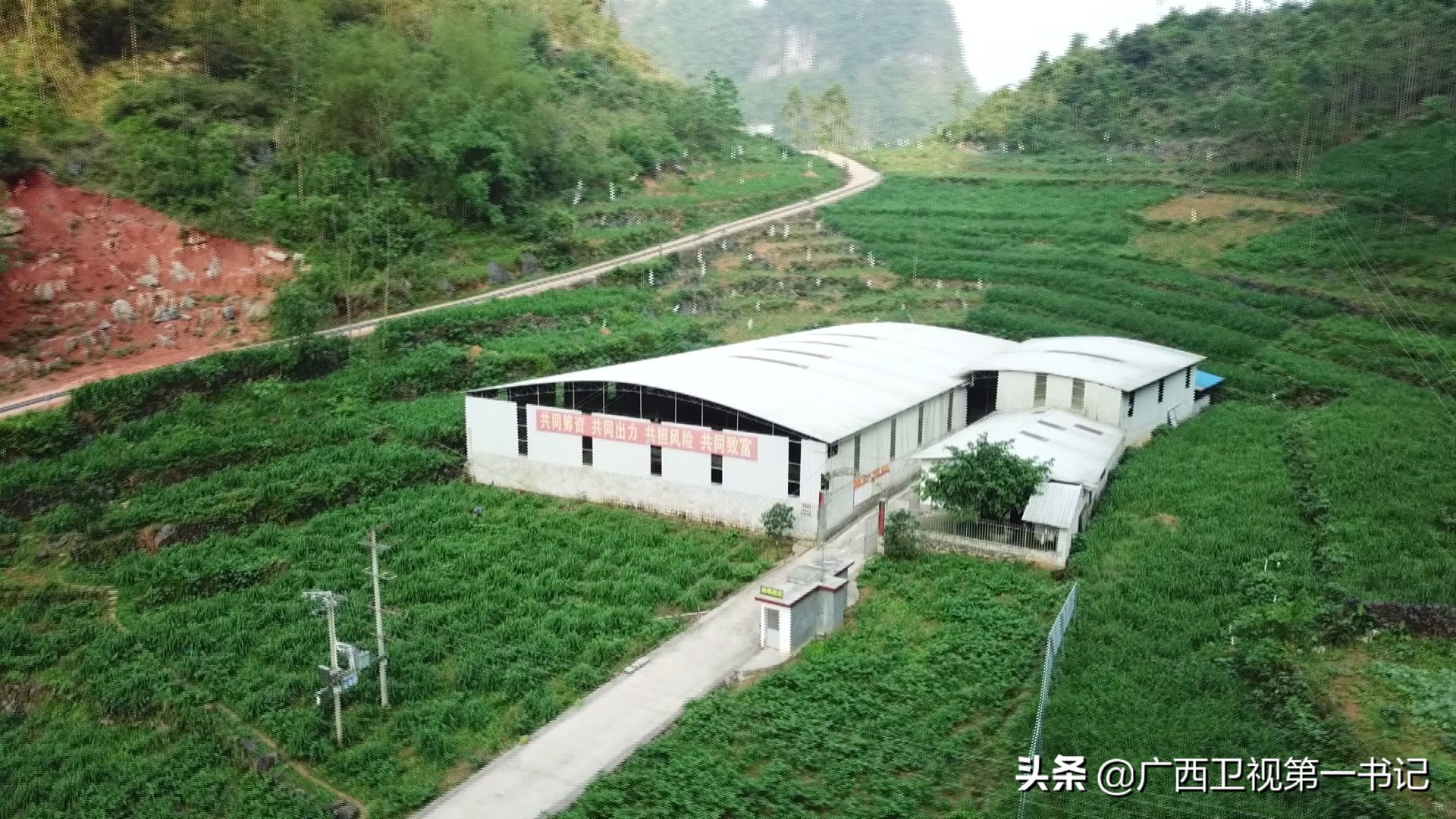 广西七大攻坚战,广西农垦五大攻坚战