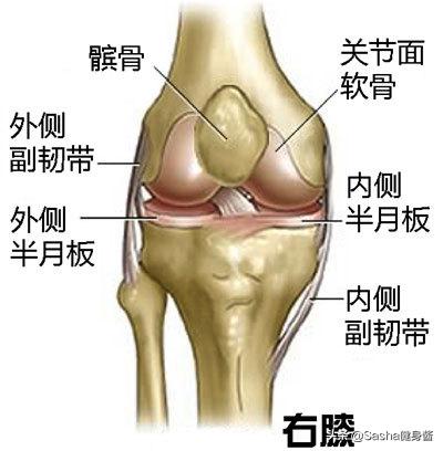 跑步膝怎么治疗,跑步如何避免膝盖超伸