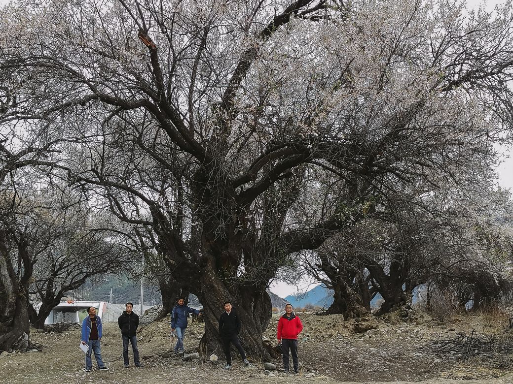 藏于山水间的度假酒店推荐,可以看日落和海景的度假酒店