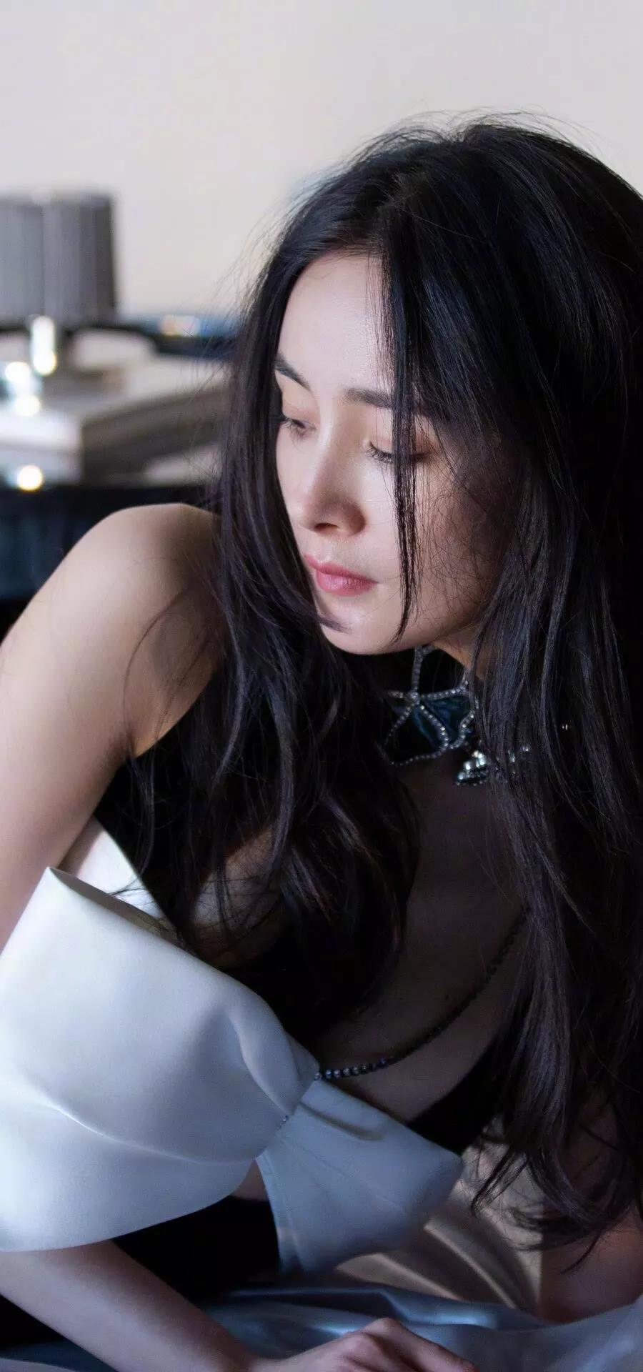 手机壁纸超清全面屏可爱猫,手机壁纸超清全屏2023最好看