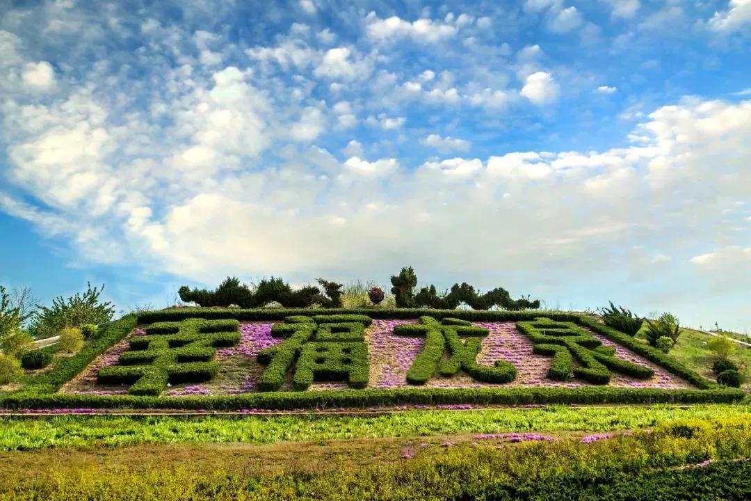 瀹朵埂娓歌,瀹朵埂閭唽