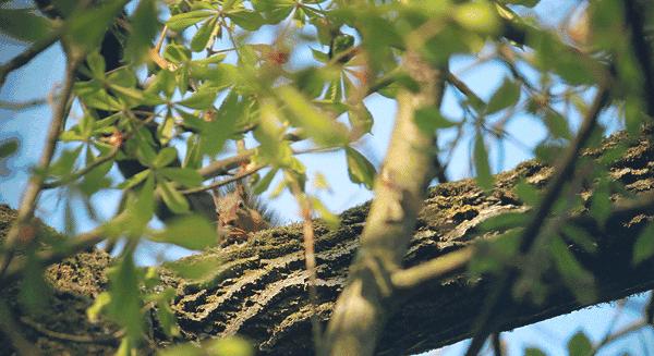 棰愬拰鏄ュぉ鍏荤敓浼氭墍,棰愬拰鏄ュぉ寰愭按