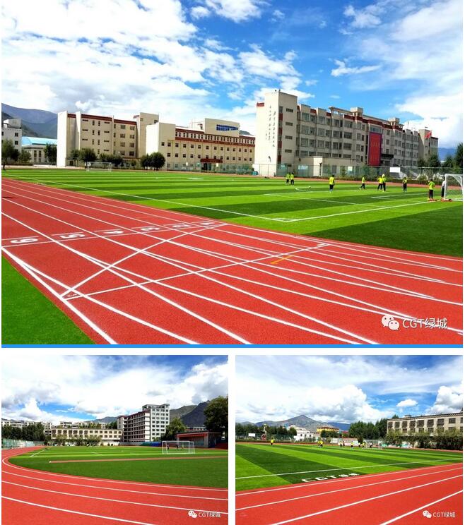 国外人造草坪足球场,高端人造草足球场