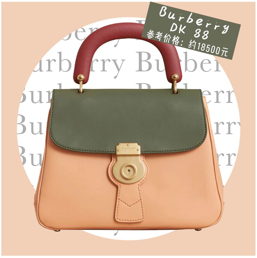 苏家女人买东西,苏家女士包包