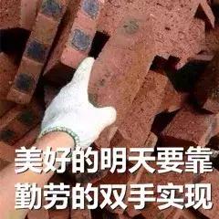 混吃等死、一夜暴富…现实给不了希望只能靠表情包续命