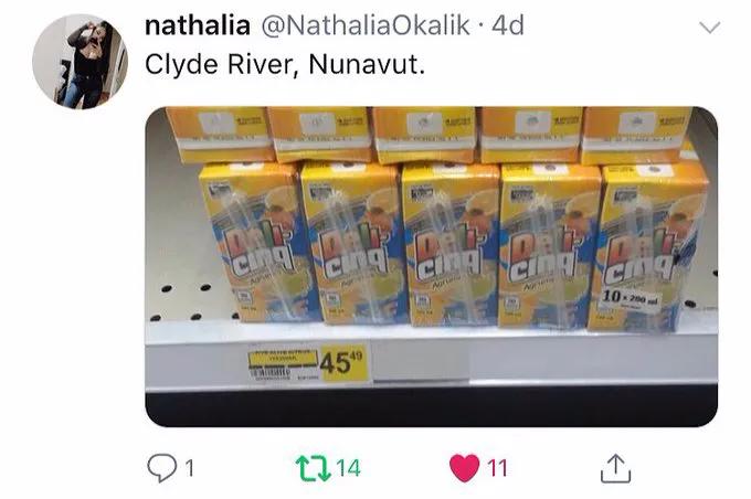 猎杀海豹，吃肉不吃素？！原住民们怒怼动保组织：站着说话不腰疼