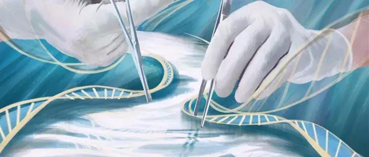 在学习强国看电视剧,能在学习强国看的电视剧