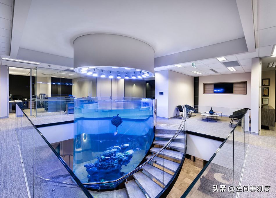 水中精灵鱼儿戏水,水中精灵鱼缸