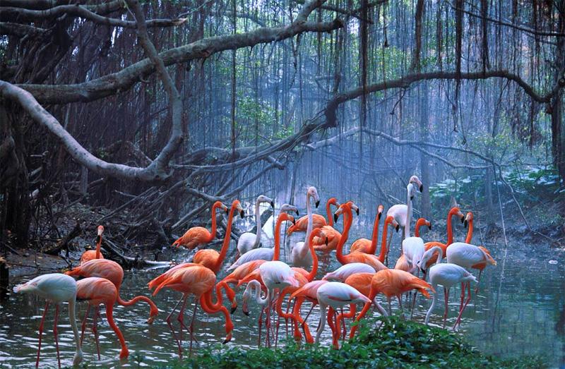 烈火焚情终不悔的下联,上联情定三生错今生求下联