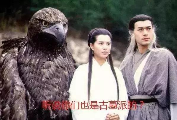 考古发掘的几个大墓,考古发掘古墓大学