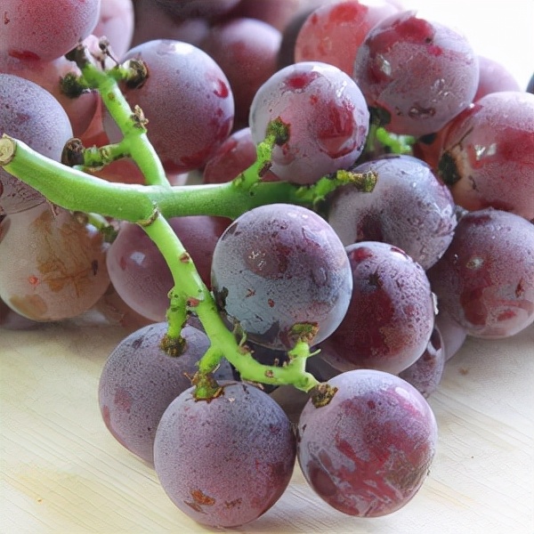 宁波适合种什么水果,宁波南洋水果