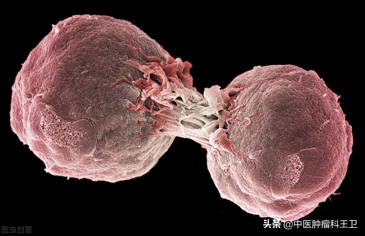 淋巴癌复发了再做化疗有用吗,恶性淋巴癌化疗中要不要吃中药