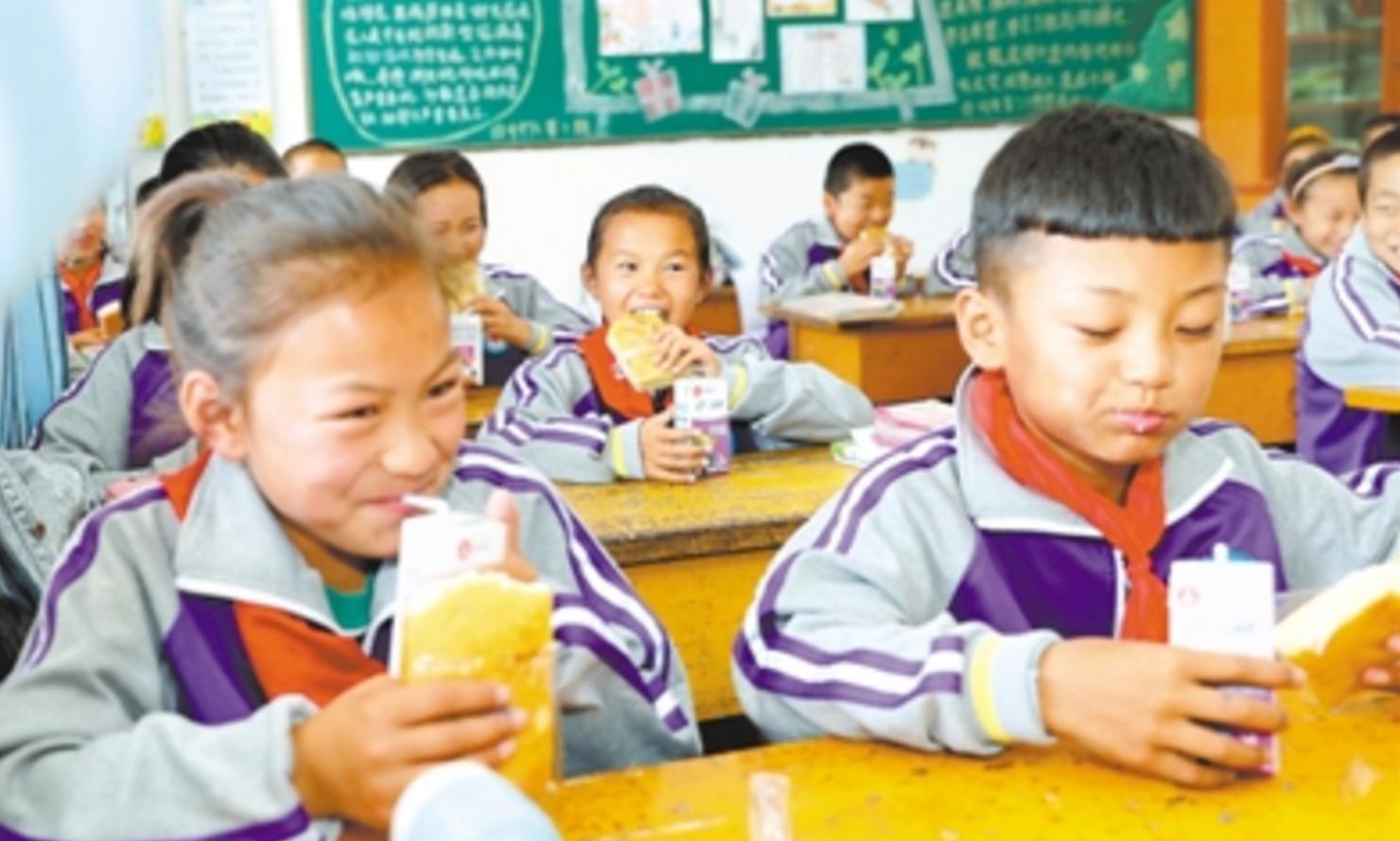 平罗县发展,宁夏平罗县教育水平