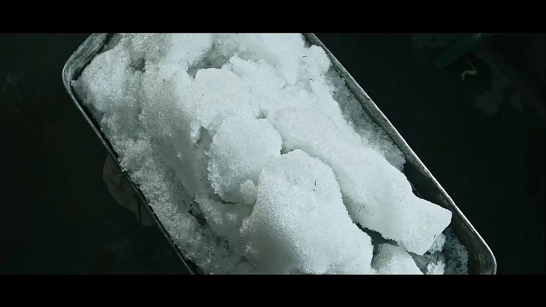 血狼犬电影有意思吗,血狼犬超清