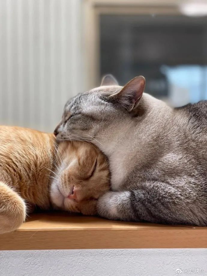 买宿舍床垫怎么量尺寸,鲁东大学宿舍床垫尺寸