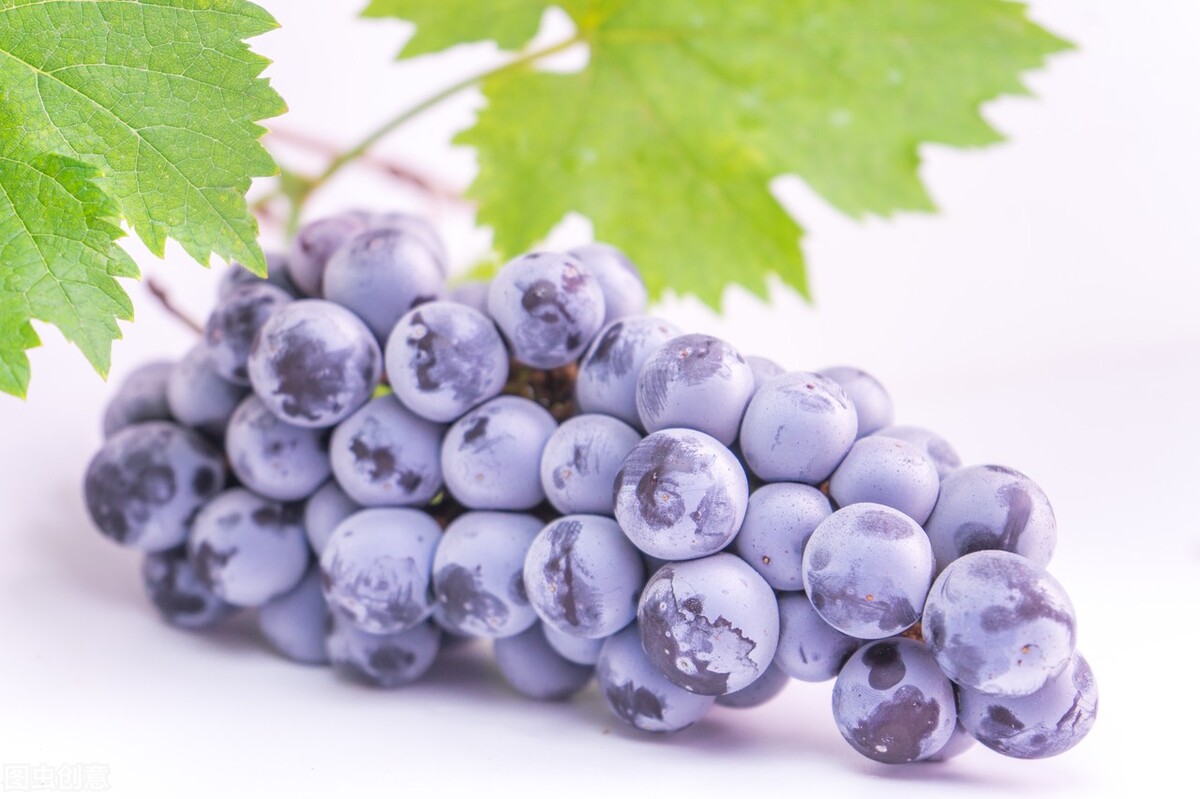 准妈妈看过来孕早期怎么吃,怀孕初期吃什么水果对胎儿发育好