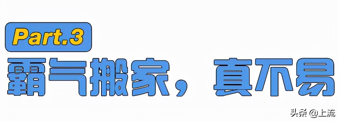 看了一次新西兰式硬核搬家，租房青年悟了