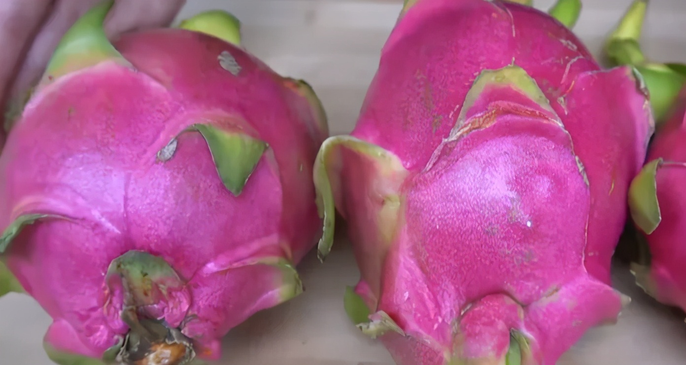 挑火龙果怎么样才能挑到好吃,怎么挑火龙果甜不甜