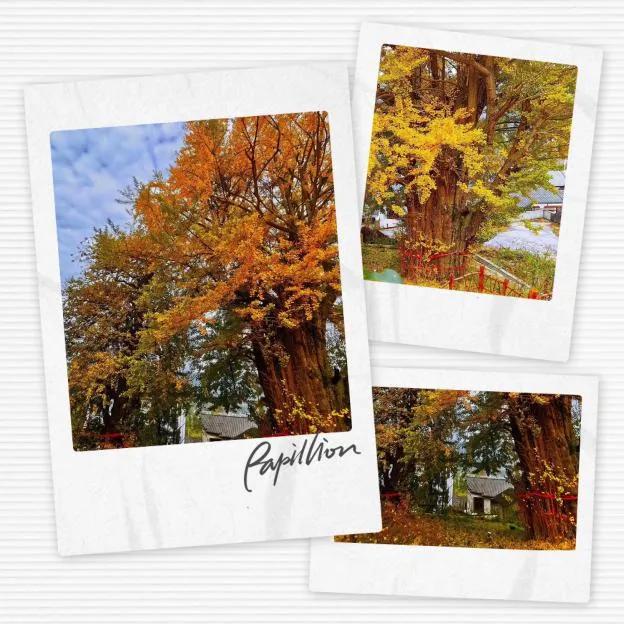 最淳朴的农家乐,必去的乡村味道农家乐