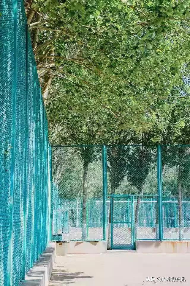 锦州渤海大学！全国最美大学之一！新入学的同学想知道的都在这里