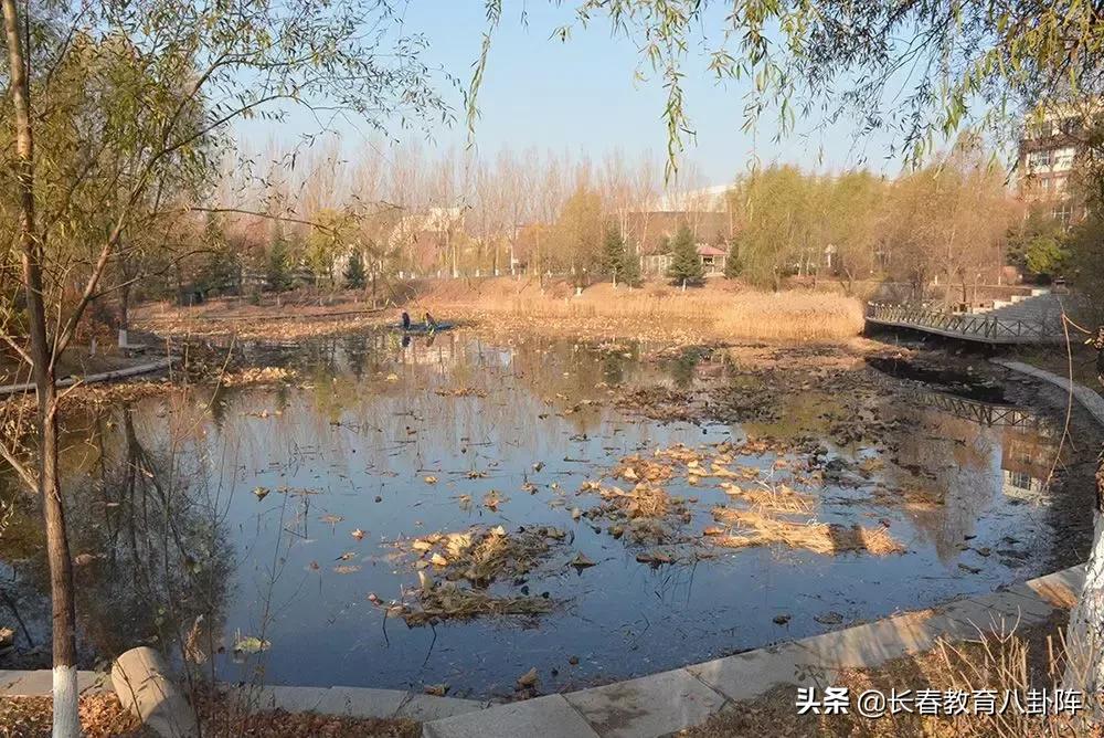 长春高中生的一天,长春高中生活日常