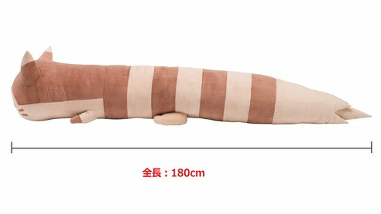 宝可梦可爱型,宝可梦真可爱