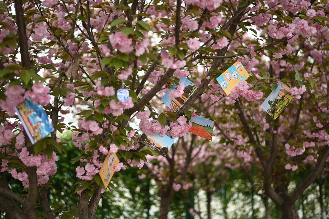 这等世外仙境竟然在西南交通大学希望学院？