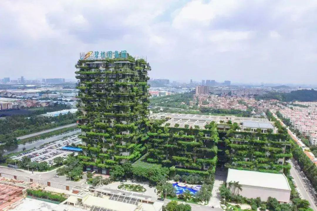 讲真，我嫉妒顺德人