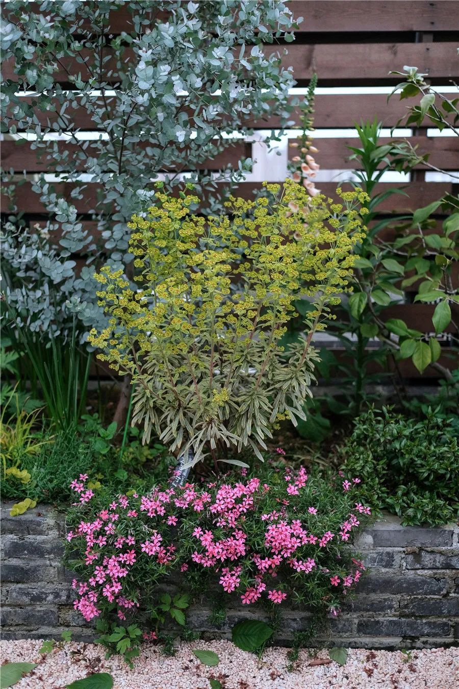 怎样打造露台花园,简单露台花园打造方法