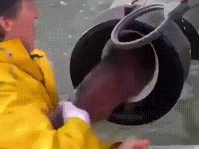 吃鸡关键时刻断触,吃鸡遇到困难时队友比上帝更管用