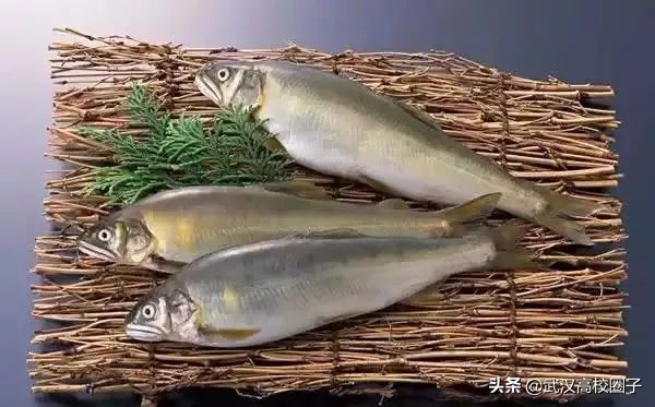 鄂州属于一个宜居的城市吗,鄂州是不是武汉的一个城市