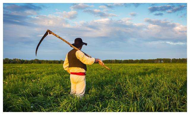现在年轻人回乡创业做什么好,农村人返乡创业可以做什么