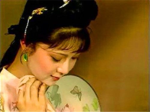 红楼梦群芳夜宴花语,红楼梦花语解读