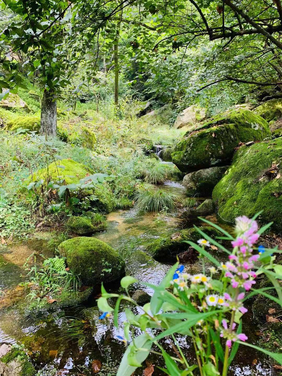 户外领队介绍路线,户外领队采访
