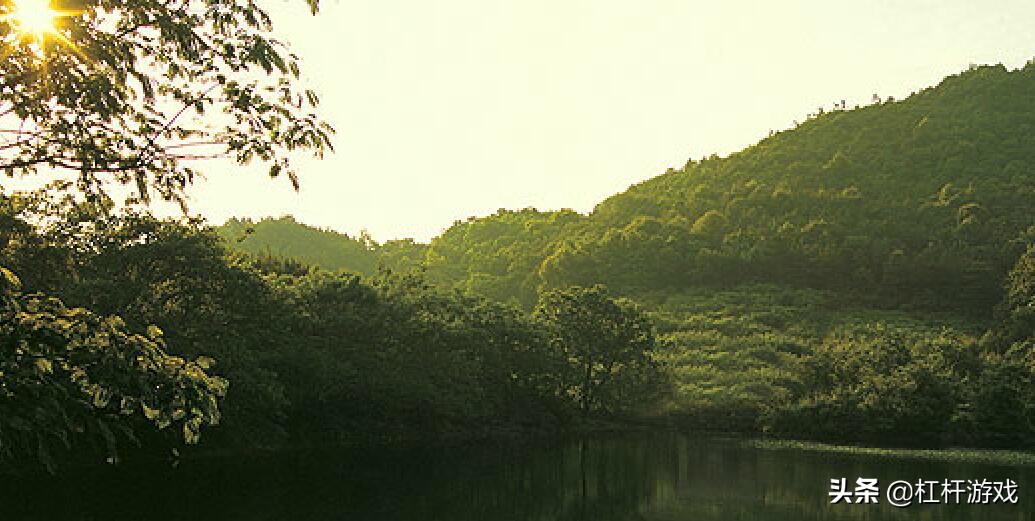 51信用卡“惊魂”背后：江浙地产大亨，新湖中宝的资本游戏