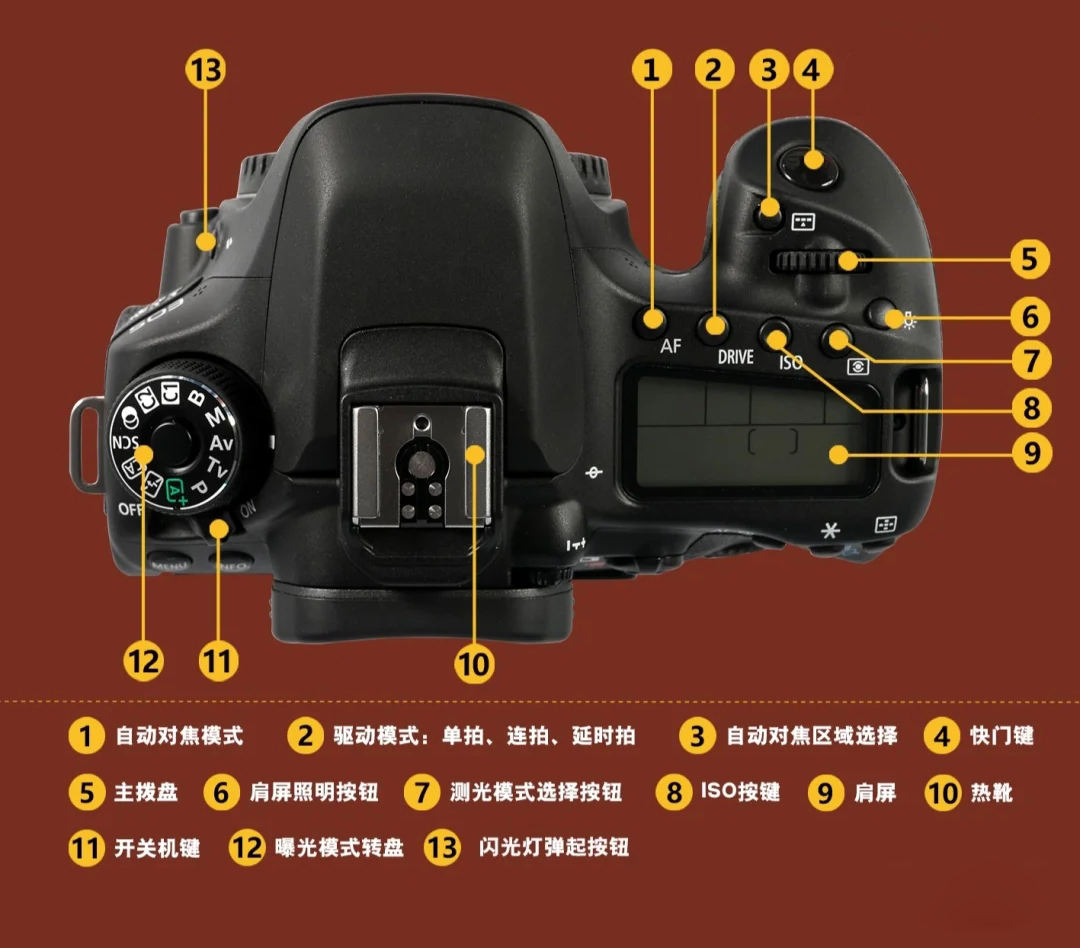 nikon单反相机按键功能介绍,8张照片科普模板