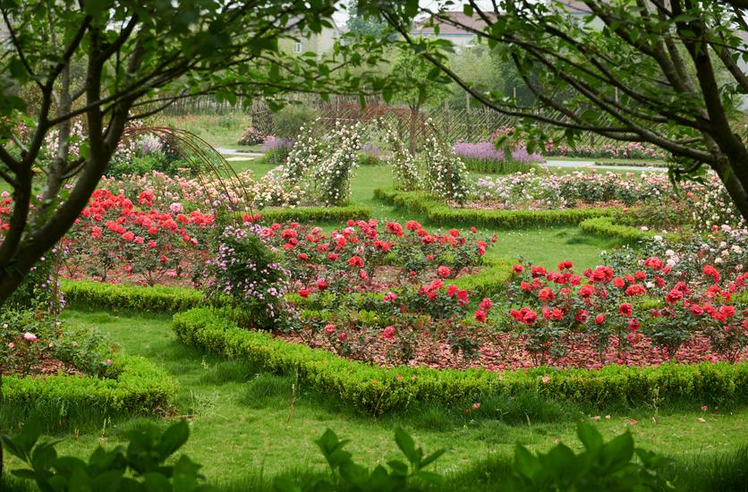 美到犯规！这个500亩的有机庄园，成三产融合教科书