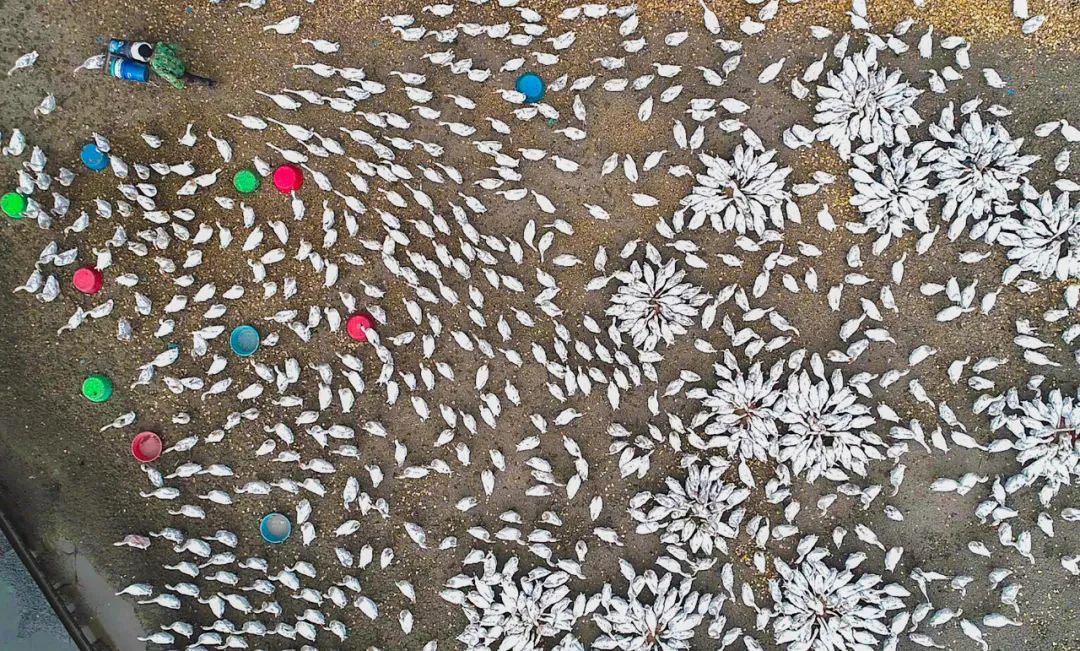 走向我们的小康生活9张海报,幸福新时代主题摄影作品