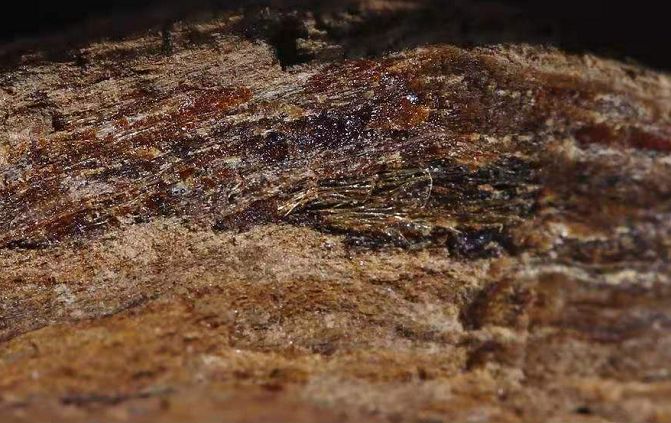 不顾家人反对选择一个人出来,不顾家人反对找了个外国人