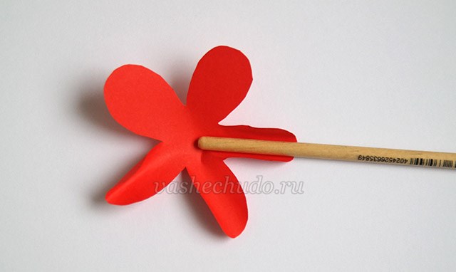 仙人掌小手工,仙人掌儿童创意手工