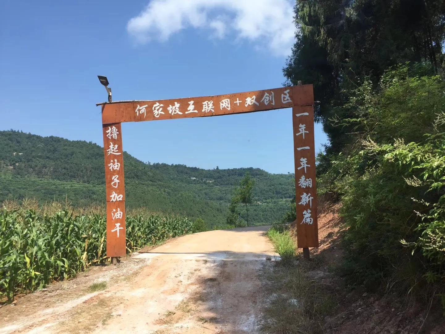 乡村创新项目快速赚钱,乡村振兴新农人创业项目有哪些