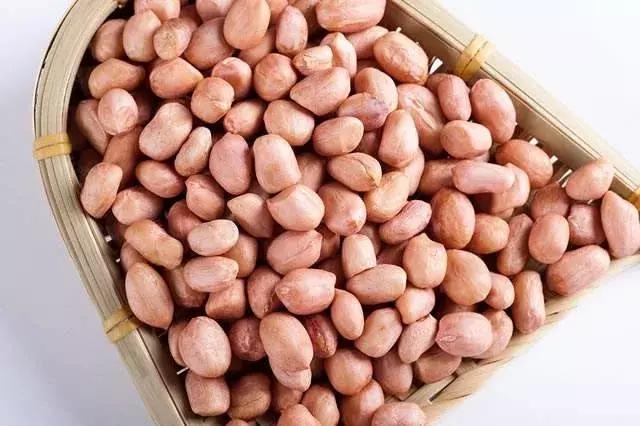 胃不好24种食物最养胃,胃冷吃什么食物最养胃